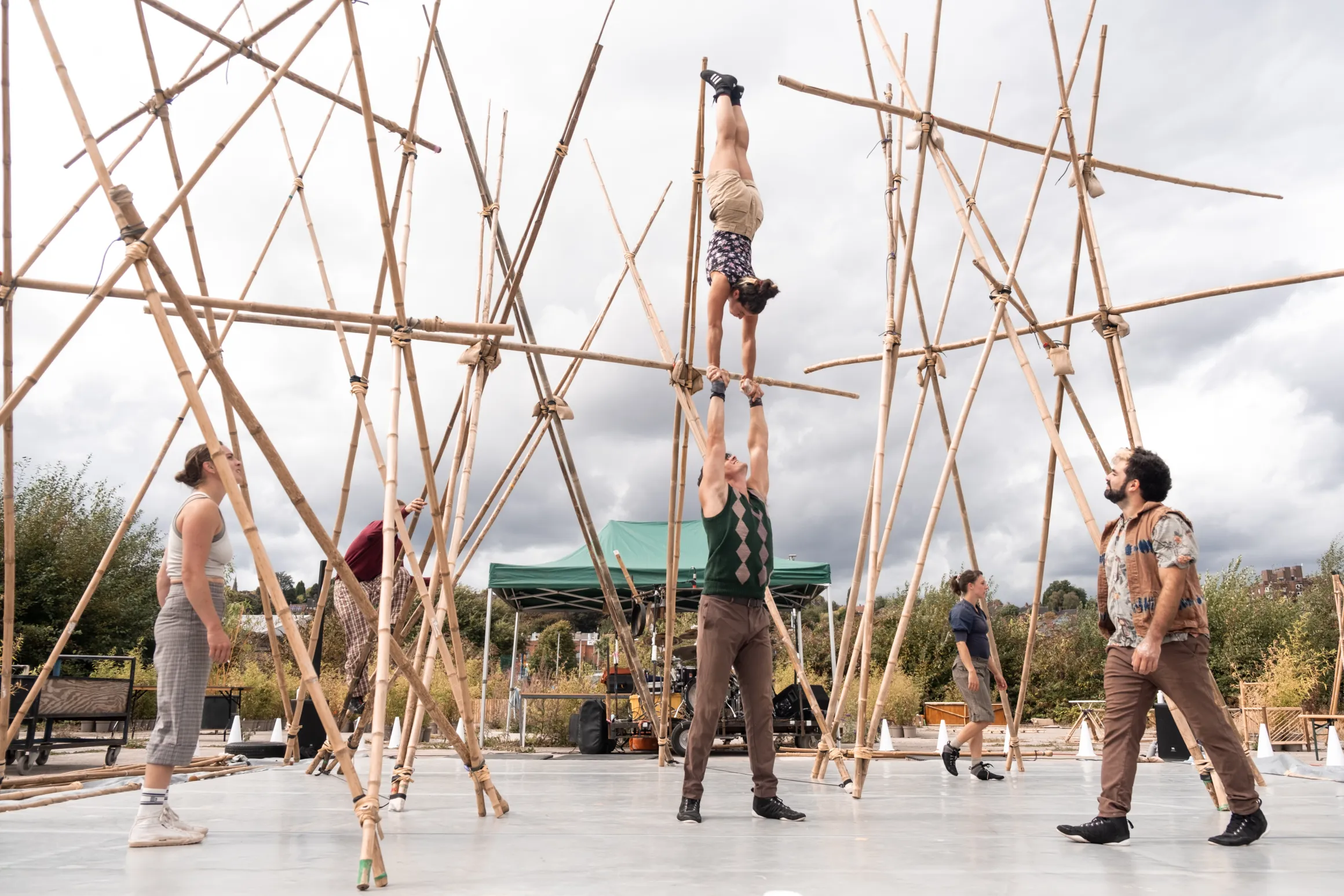20260923_bamboo_12_c_brilliant_bamboo_nat_willat.jpg