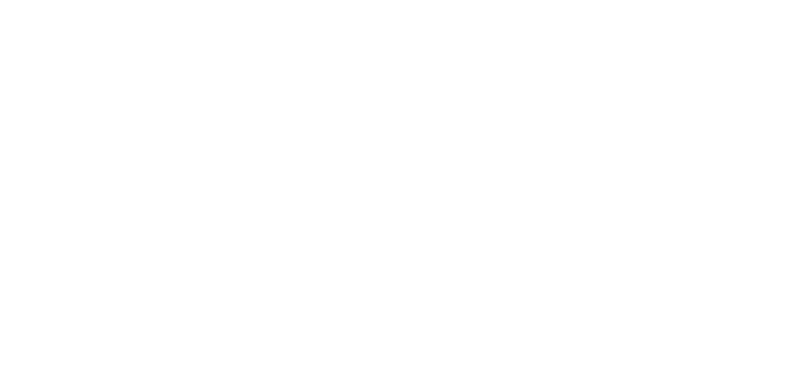 brand_logo_state_of_the_art_naked_white.png